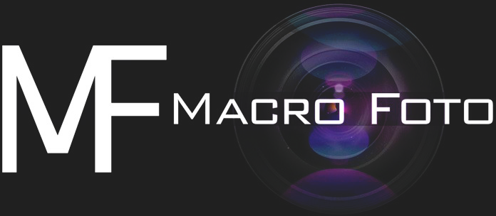 MACRO FOTO | Câmera Canon 6D Mark II com lente 24-105 f / 3.5-5.6