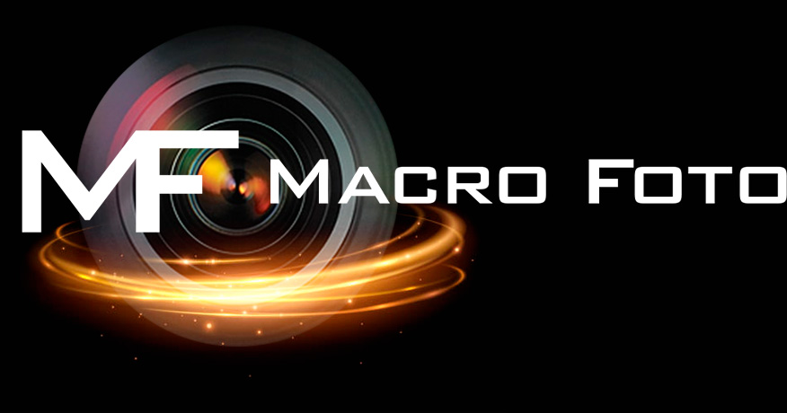 MACRO FOTO | DJI Phantom 4 Pro V2.0
