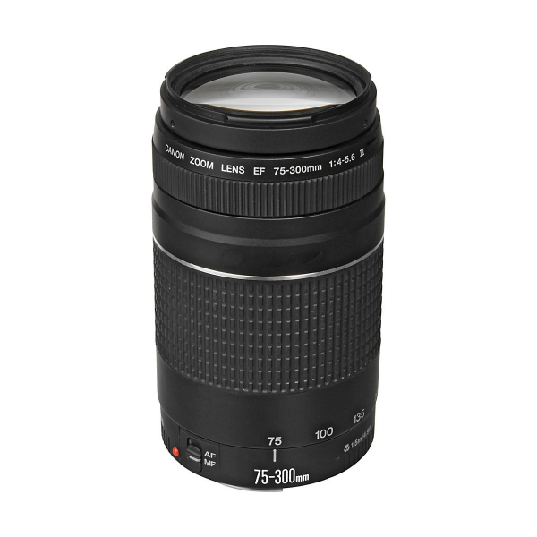 macrofoto-lente-canon-75-300