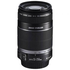 macrofoto-lente-canon-55-520